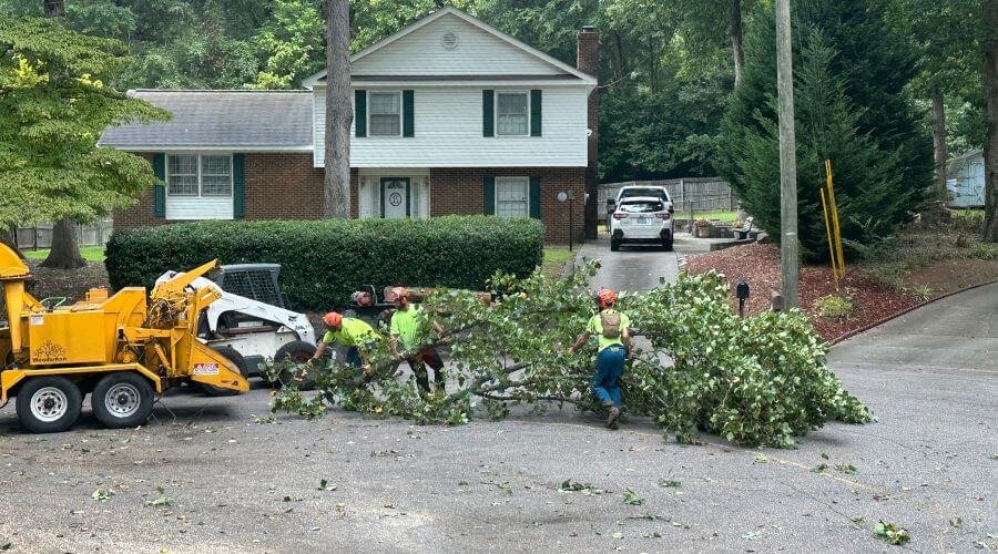 debris removal services in orlando