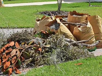 professional debris removal services