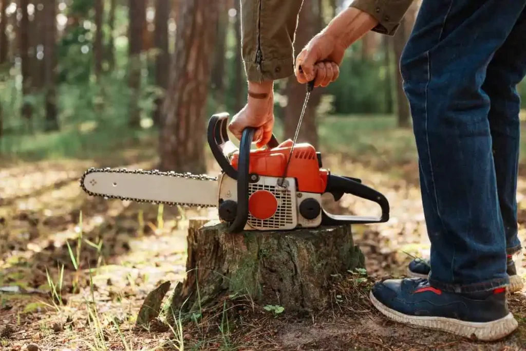 tree service in orlando