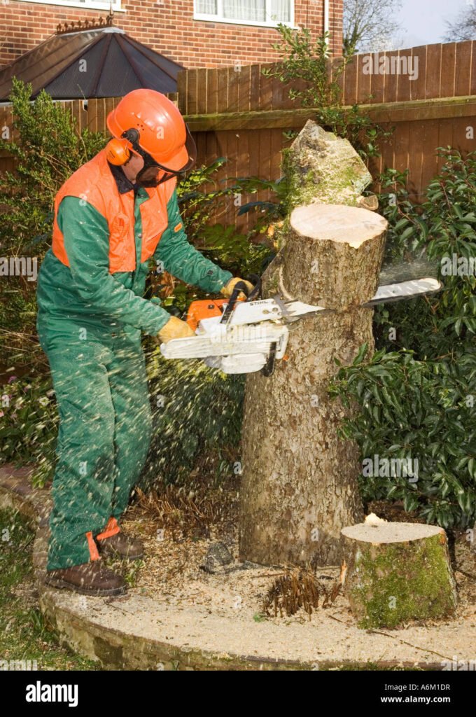 Tree Pruning Benefits