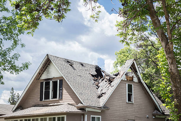 residential tree services orlando